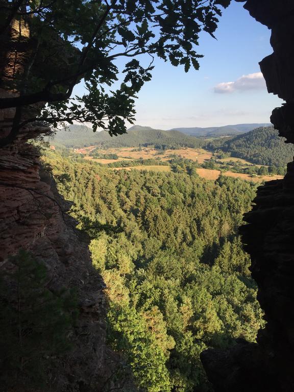 Fewo-Franca Dahn Exterior foto